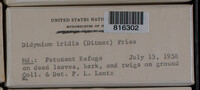Image Associated With the Occurence